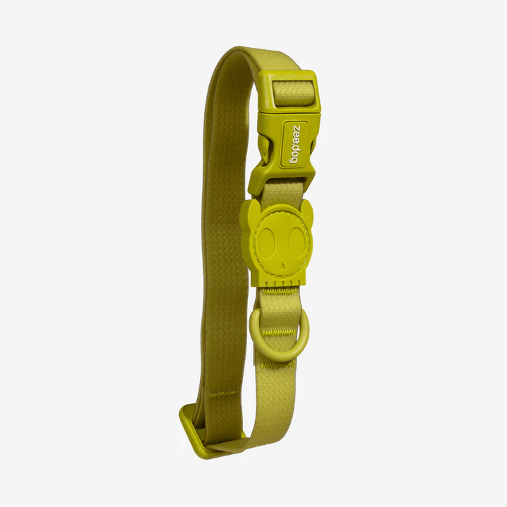 Coleira para Cachorro Zeedog Matcha Tam. M
